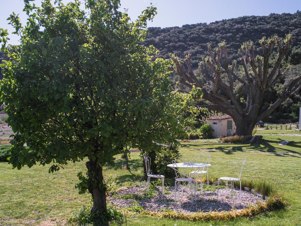 Bed and Breakfast Le Mas De La Fontaine Le Pegue Exterior foto